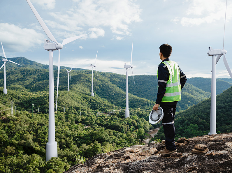 Addressing the green skills gap