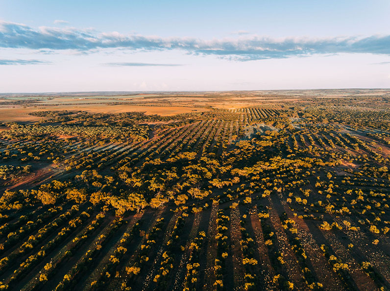 Driving climate action
