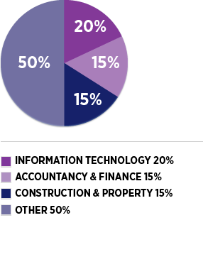 INFORMATION TECHNOLOGY - 20%; ACCOUNTANCY & FINANCE - 15%; CONSTRUCTION & PROPERTY - 15%; OTHER - 50%