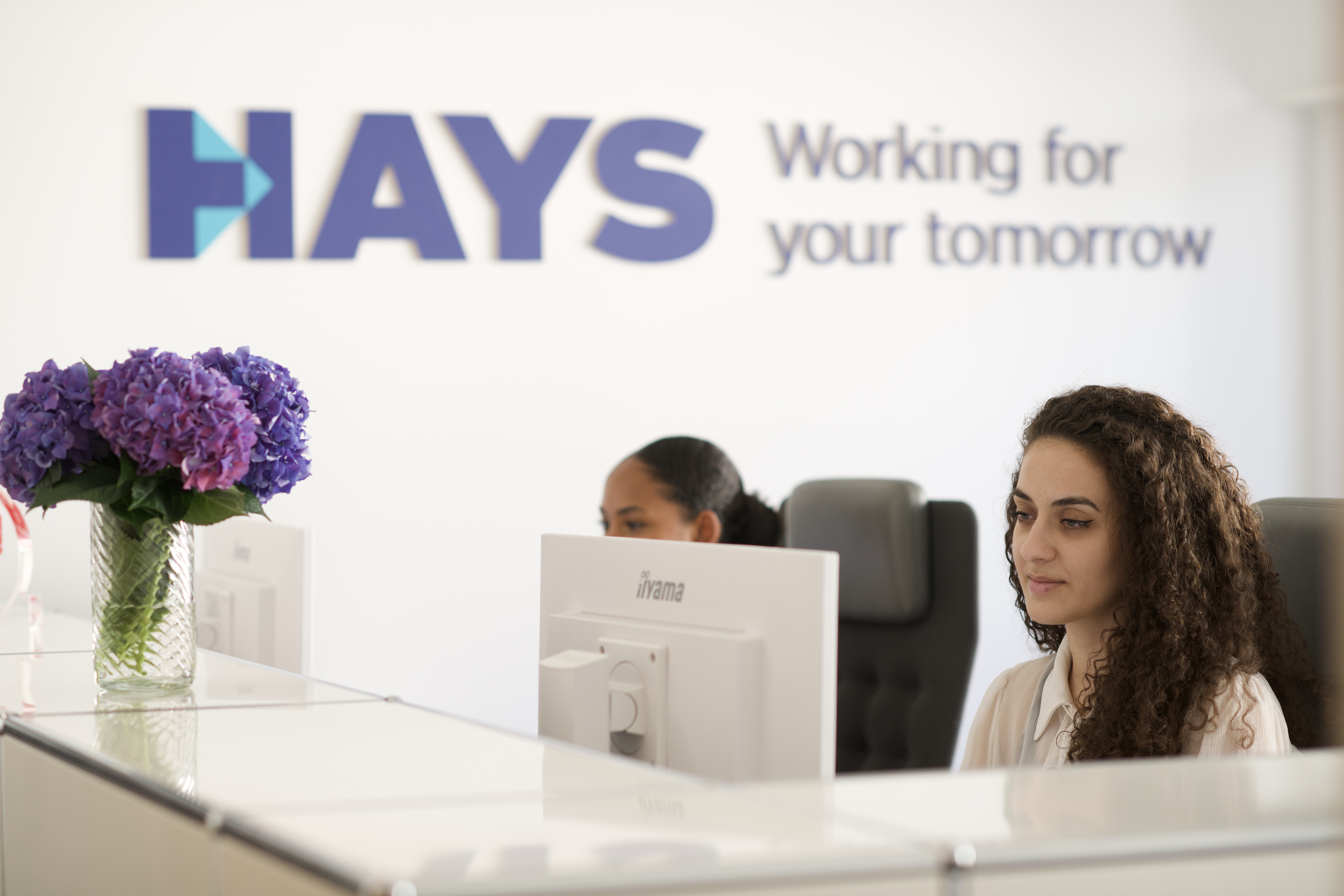 Investors | Hays - Working for your tomorrow